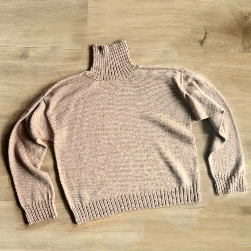 Vignette Traveler Turtle Sweater